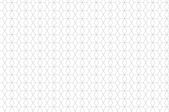 Ornamental seamless patterns. Product Image 13