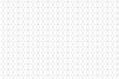 Ornamental seamless patterns. Product Image 13