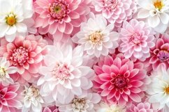 Flowers and Petal Background Wallpaper Product Image 1