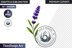 Flower Clipart PNG, Botanical Illustration Floral graphic Product Image 1