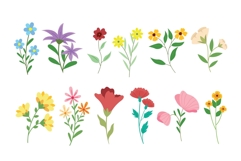 Bloom &amp; Blossom Vector Set 02 Product Image 2