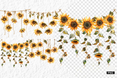 Summer Wildflowers PNG Product Image 1