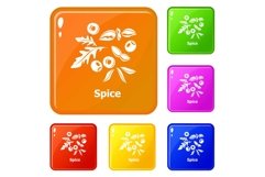 Spice icons set vector color Product Image 1