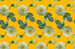 12 Seamless colorful FLOWER patterns bundle. Digital Paper Product Image 3