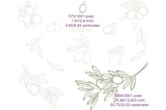 Olives Floral Elements. Watercolor clipart, branches, leaves Product Image 5