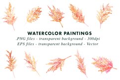 Watercolor Pampas | Botanical Illustration in PNG & EPS Product Image 2