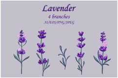 vector Lavender Clipart 4 branches Product Image 2