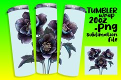 Floral Watercolor Wrap for 20oz Tumbler Sublimation Product Image 1