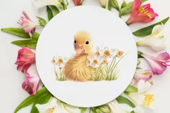 Watercolor Spring Duckling Clipart PNG, Seamless Patterns Product Image 8