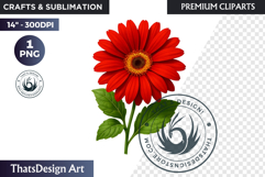Flower Clipart PNG, Botanical Illustration Floral graphic Product Image 1