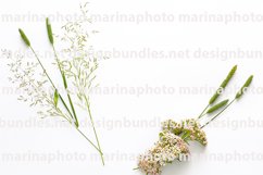 Flat lay, top view, copy space. Composition of wildflowers Product Image 1