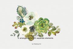 Watercolor Succulents &amp; Florals Clip Art Collection Product Image 3