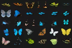 200 BUTTERFLIES TRANSPARENT PNG FILES, PHOTOSHOP OVERLAYS Product Image 9