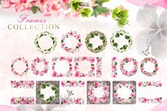 Pink Hibiscus Watercolor png Product Image 7