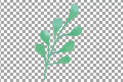 Faded orange and blush flowers and green leaves watercolor Product Image 18