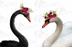 Black swan and white swan with burgundy floral crown graphic Product Image 1