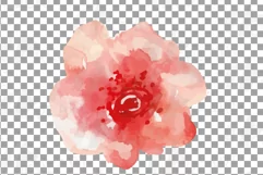 Burgundy and coral pink watercolor floral wedding clip art, Product Image 10