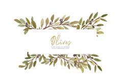 Frame Olive Botanical leaves, Olive Branch watercolor Product Image 2