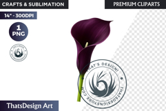 Flower Clipart PNG, Botanical Illustration Floral graphic Product Image 1