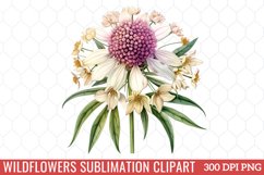 Wildflowers Sublimation Clipart Product Image 1