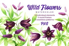 Wild flowers. Watercolor set. Product Image 1