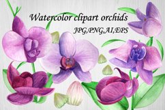 Watercolor Clipart Orchid flower.Summer,Spring.EPS,AI,JPG,PN Product Image 1