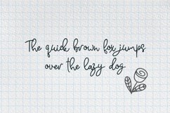 Web Font Monteline Script and Doodles Product Image 2
