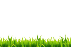 Green Grass On A White Background Product Image 1