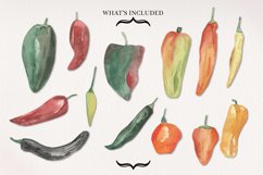 Chilli Watercolors Clipart Elements Spicy Food Hot Product Image 2