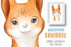 Watercolor woodland animals Squirrel png Nursery wall decor Product Image 1