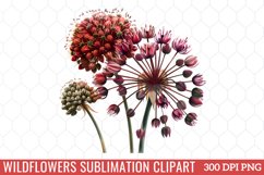 Wildflowers Sublimation Clipart Product Image 1