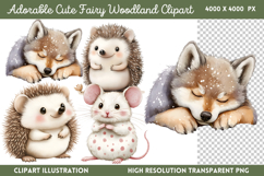 Adorable Cute Fairy Woodland Clipart PNG Product Image 1