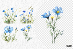 Summer Wildflowers PNG Product Image 1