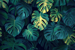 Monstera Deliciosa Background Wallpaper Product Image 1