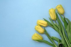 Tulips Product Image 1