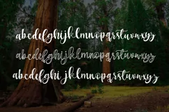 Sherman Trio - Free Font of The Week Product Image 2