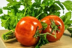 Freshly picked natural organic vegetables Product Image 1