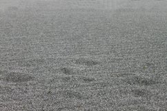Grayscale shot of the sandy beach Product Image 1