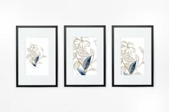 Floral Watercolor Bouquet Vol5 Product Image 2