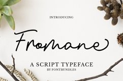 Web Font Fromane Product Image 1