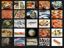 200 FISH SEA FOOD PHOTOSHOP OVERLAYS, BACKDROPS, BACKGROUNDS Product Image 4