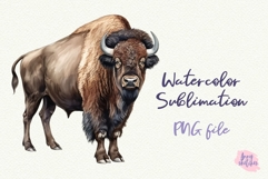 American bison Clipart 4th of July PNG Buffalo Illustration Product Image 1