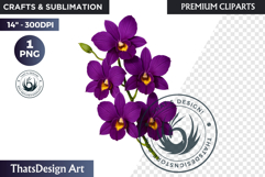 Flower Clipart PNG, Botanical Illustration Floral graphic Product Image 1