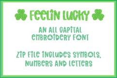 FEELIN' LUCKY EMBROIDERY FONT Product Image 1
