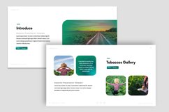 Tobaccos Powerpoint Product Image 3