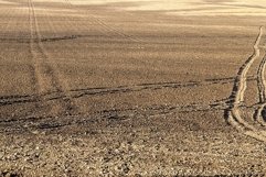 car tire tracks on a sandy road Product Image 1