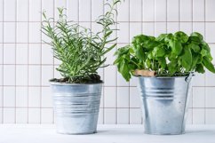 Herbs in pot Product Image 1