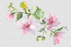 Mars Bouquet Watercolor png Product Image 3