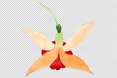 Orange Fuchsia Watercolor png Product Image 13