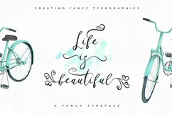 Habgost Script Lite Product Image 3